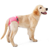 Washable Female Dogs Sanitary Pants Reusable Dog Diapers