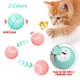 Funny Pet Training Toys Kitten Puppy Electric Game Rolling Balls