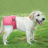 Washable Female Dogs Sanitary Pants Reusable Dog Diapers