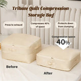 Space-saving Large-capacity Compression Organizer Storage Bag