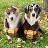 Funny Pet Dress UP Costume Dogs UPS Express Outfit with Hat