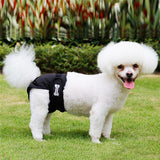 Washable Female Dogs Sanitary Pants Reusable Dog Diapers