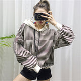 Spring Modish Striped Hoodie for Small Dogs & Owners