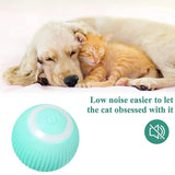 Funny Pet Training Toys Kitten Puppy Electric Game Rolling Balls