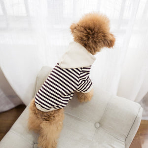 Spring Modish Striped Hoodie for Small Dogs & Owners