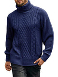Men's Casual Daily Wear Pullover Knitted Turtleneck Sweaters