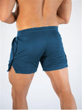Quick Dry Outdoor Workout Shorts For Men