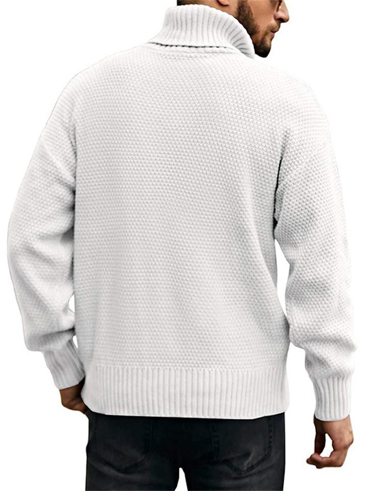 Men's Casual Daily Wear Pullover Knitted Turtleneck Sweaters
