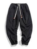 Casual Solid Color Loose Plush Thermal Drawstring Pants For Men
